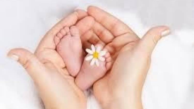 طرح رویش امید، ناباروری، درمان ناباروری، حمایت از زوج های نابارور، موسسه خدمات درمانی بسیجیان